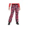 Dare2b Womens Liberty II Ski Pants -Best Ski Equip Store dare2b womens liberty ii ski pants p11576 139750 image