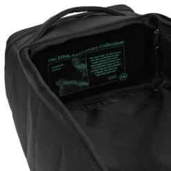 Db Db The Strøm 30L Backpack - Black/Glacier Green -Best Ski Equip Store db the strom 30l backpack black glacier green p23764 35472 image