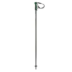 Head Head Frontside Ski Pole - Anthracite/Green