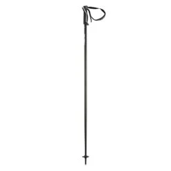 Head Head Frontside Ski Pole - Anthracite/White
